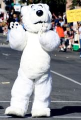 bear