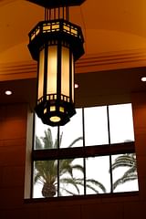 chandelier inside, palm trees outside