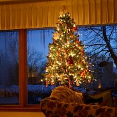 christmas tree in front of open window