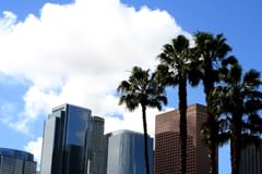 clouds, palms, and skyline