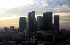 downtown los angeles from city hall