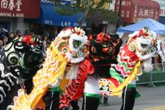dragons in a row