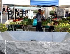 dry fountain and fresh produce