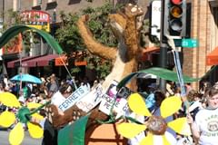 ferret float