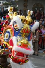 gold dragon