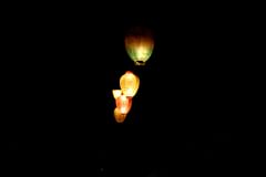 lamps in the blue bayou