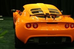 lotus