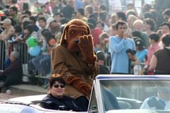 mcgruff