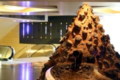 riverbench and atrain