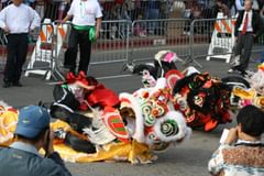 rolling dragons