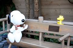 snoopy and woodstock