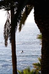 surfers in laguna