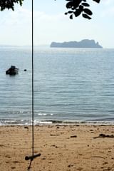 swing by the ocean