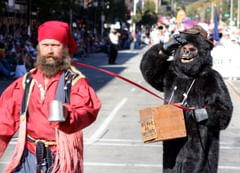 will work for animal rights activists