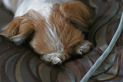 wonton hides his face