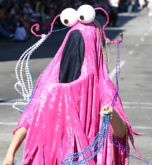 yip yip yip