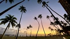 A view of the sunset through palm trees at the Hilton Hawaiian Village in Waikiki, Hawaii.